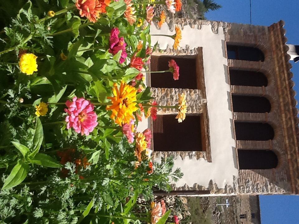 Casa Rural Caseta De L' Hort Vilafranca  Habitación foto