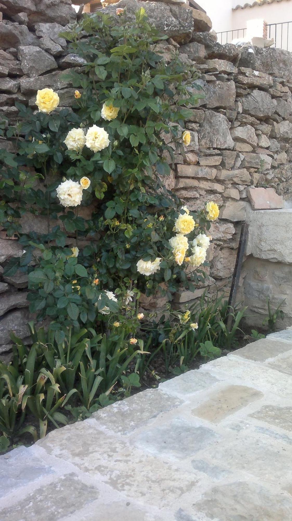 Casa Rural Caseta De L' Hort Vilafranca  Exterior foto